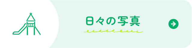 日々の写真